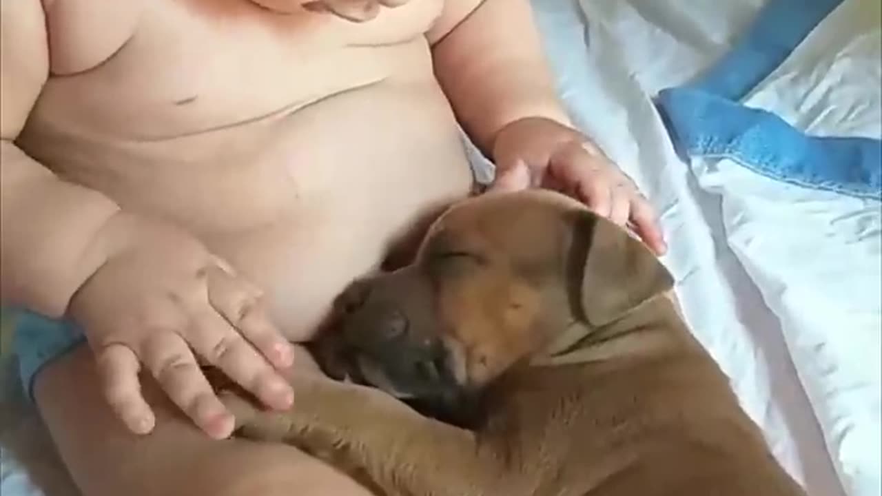 Adorable baby touches sleepy pupy😊