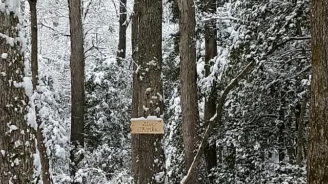 Pathway of Prayer (snow)