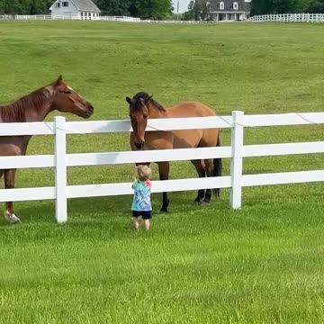 Horse with cute kid