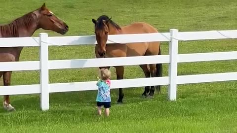 Horse with cute kid