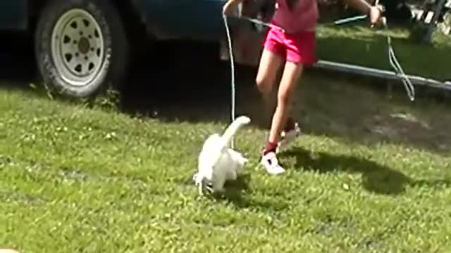 Cat and Diane 2011