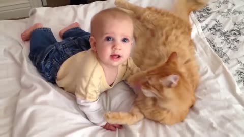 videos of cuddling between cats and babies