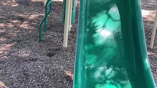 Syrian Bears Both Love Slide