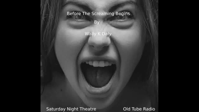 Before The Screaming Begins by Wally K Daly