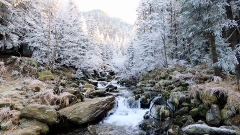 Nature