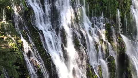 Waterfall and Rainbow in the Forest