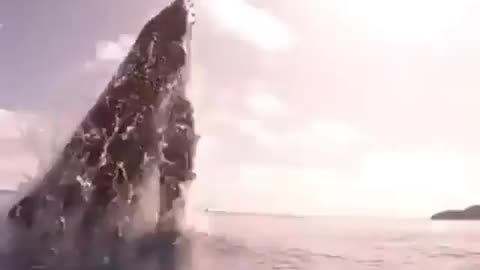 What a jump 😍
