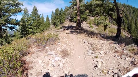 10-20-24 Idaho City Last part of Rabbit Creek Trail