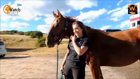 Horse Australia Astro Rescued After Three Hour