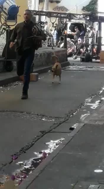 Firulays, la famosa perra que se metió en rodaje de Will Smith