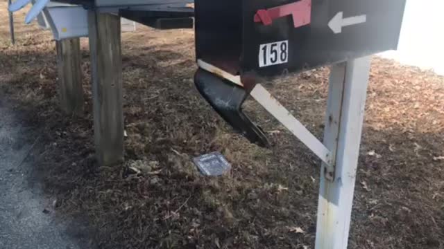 Mailbox damage