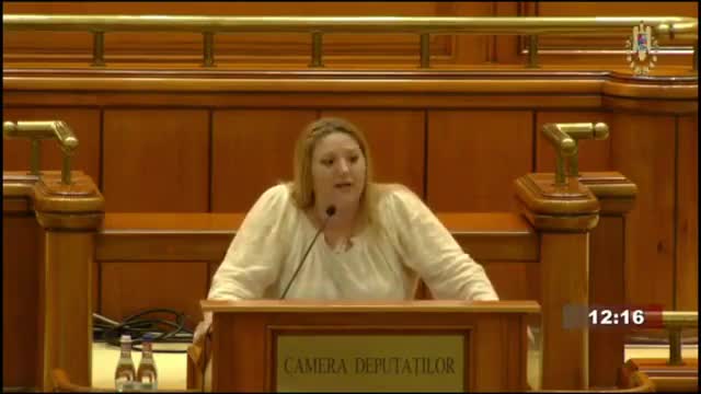 28 Iunie 2022 - Ședința comună a Camerei Deputaților și Senatului României