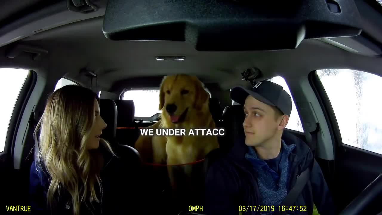 My Dog Reacts to Car Wash