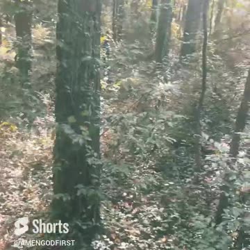 Abundance Talk #nature