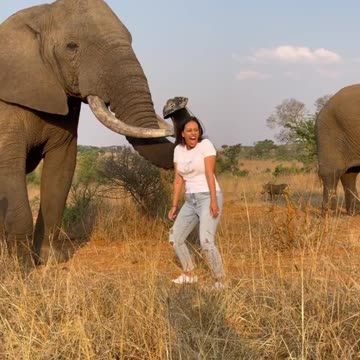 Elephant cought girl hat