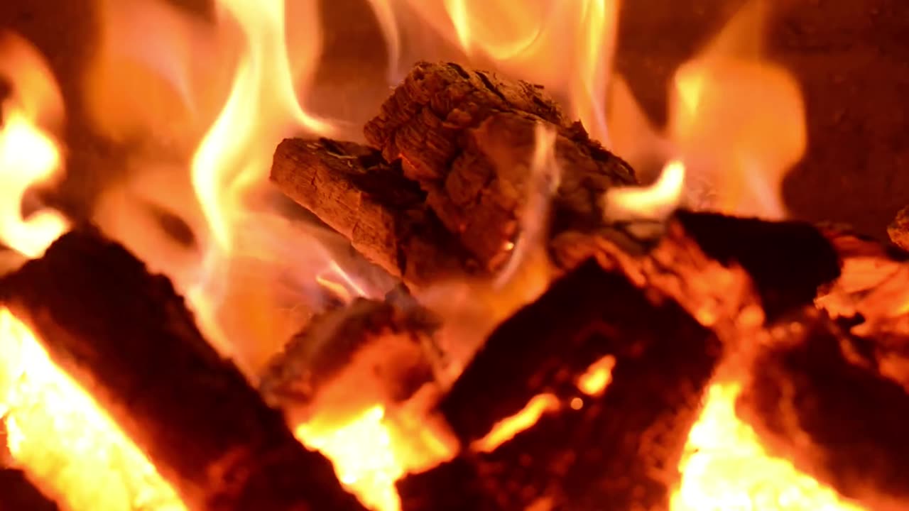 Sleep Immediately in no time listen to this 4K Daytime Forrest Bonfire