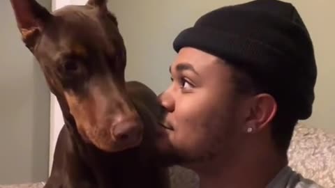 Bark at your dog