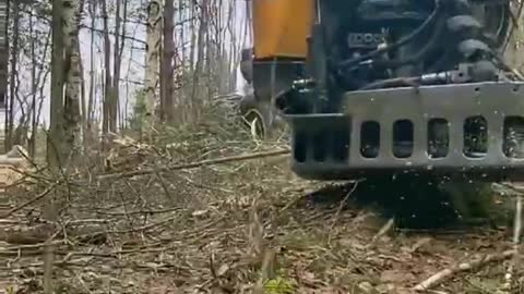 A logger's day, section three