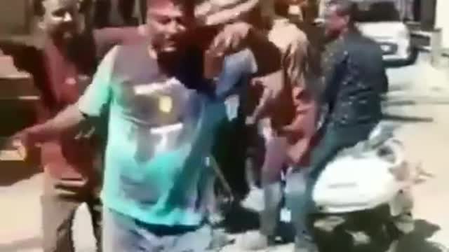 Dog Dance on Holi