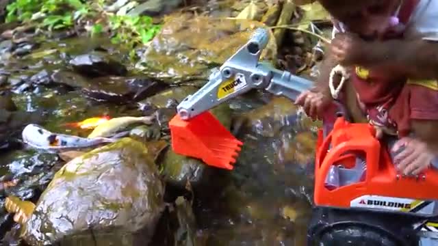 Baby monkey digs swimming pool and bathes with cute koi, goldfish, and red fish