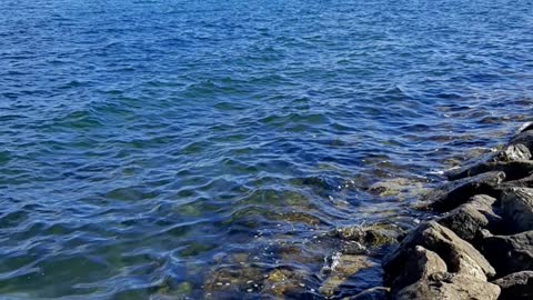 Purl sea