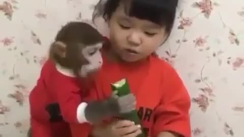 Cute monkey baby funny video with little girl 👧 💕