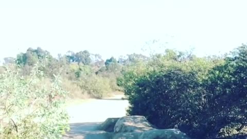 Red shirt kid dirt hill faceplant