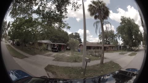 Fort Myers Hood in 4K. (4R)