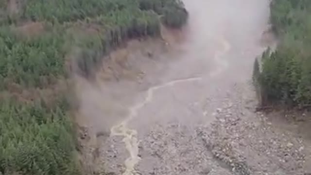 Massive Bute Inlet landslide destroys wildlife habitat on B.C. coast