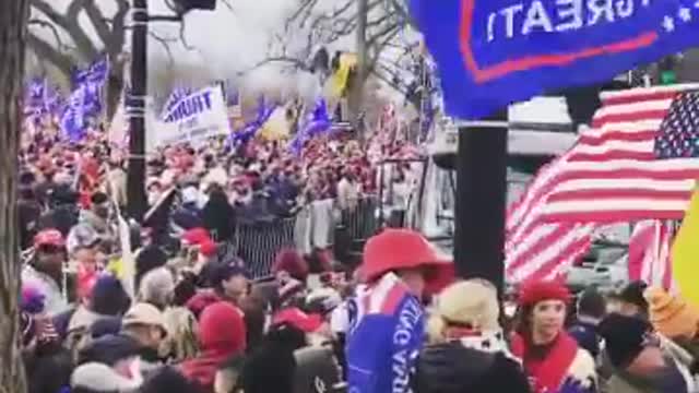 terrorist protest Trump