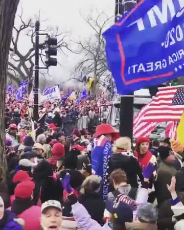 terrorist protest Trump