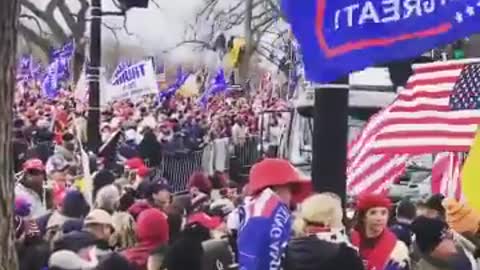 terrorist protest Trump