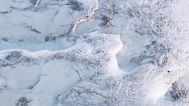 White Nature View