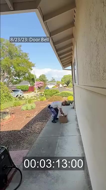 MY MAILMAN 📬 SUCKS