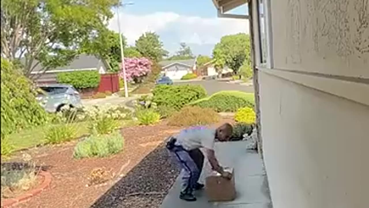MY MAILMAN 📬 SUCKS