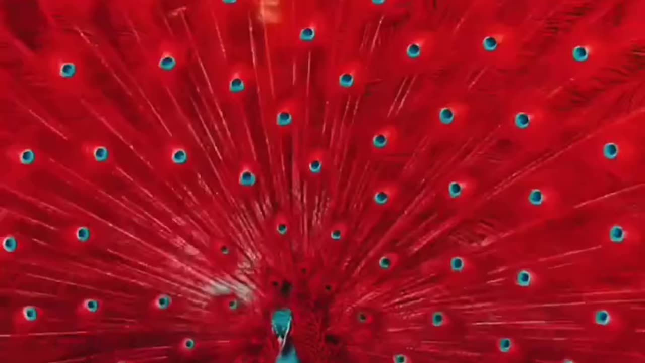 simply magnificent