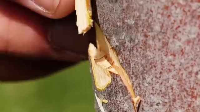 27 GARDENING HACKS YOU'LL WANT TO KNOW