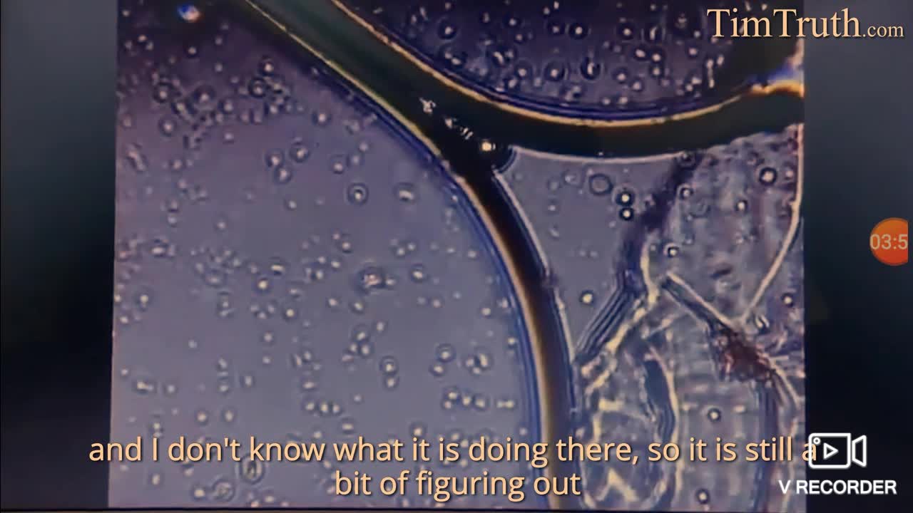 PFIZER VACCINE 2000X MAGNIFICATION