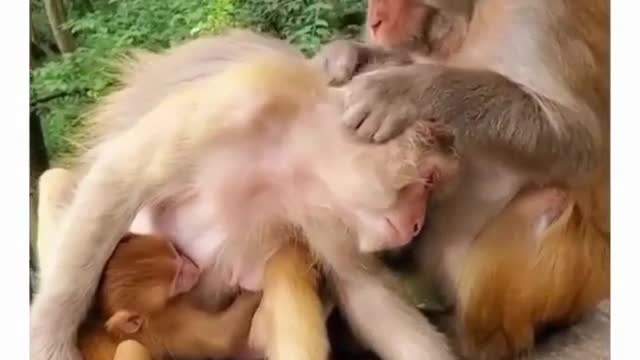Motherhood is like that