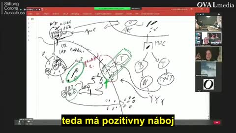 Rozhovor s Dr Vanessa Schmidt Krüger časť 2 SK titulky