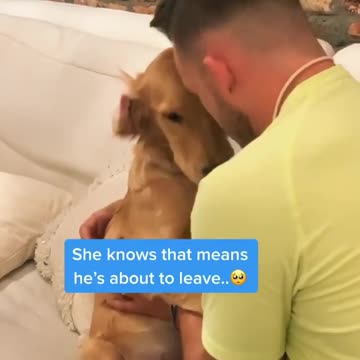 Pup gets sad every time owner gets dressed for work