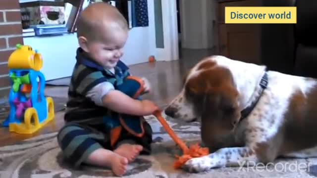 Cute baby playing with Dog and loughing enjoying