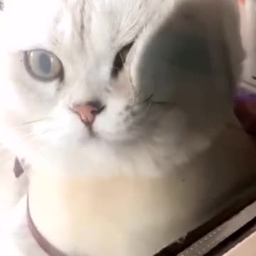 Anything funny ? 🤣🤣🤣