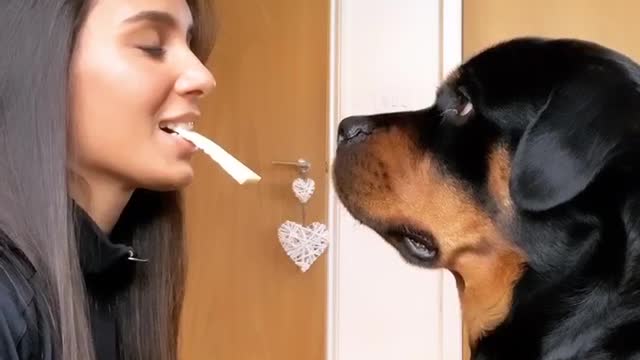 When did She Holding a Cheese? what happened next her Dog...? | #cutedogtv