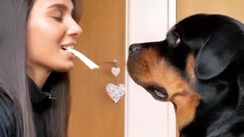 When did She Holding a Cheese? what happened next her Dog...? | #cutedogtv