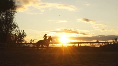 Horse rider at sunset. Young jockey brave girl riding horse jumping