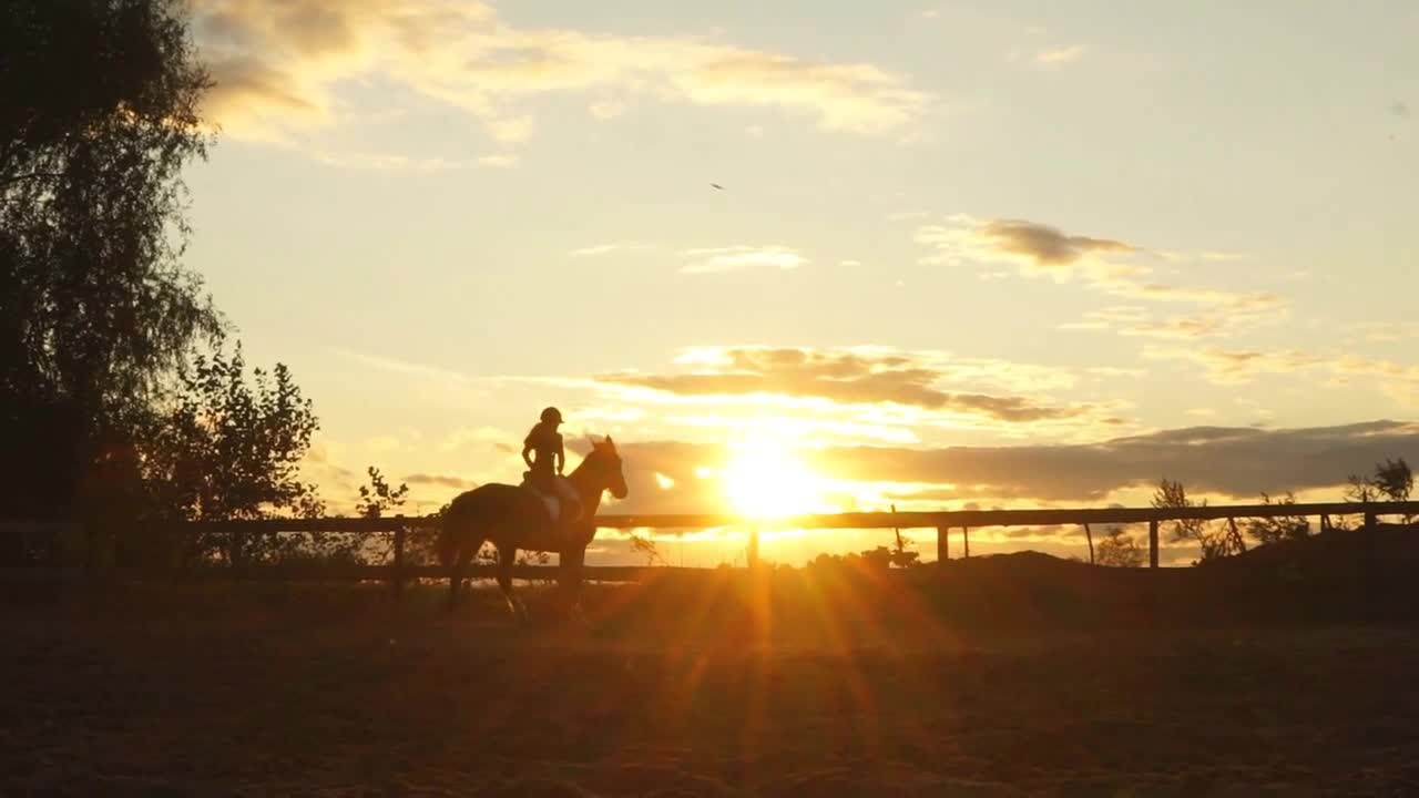 Horse rider at sunset. Young jockey brave girl riding horse jumping