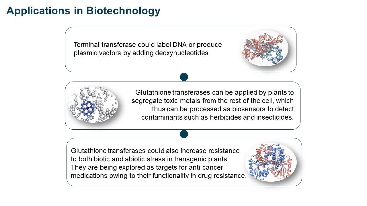 Enzyme Definition and Classification at Creative Enzymes