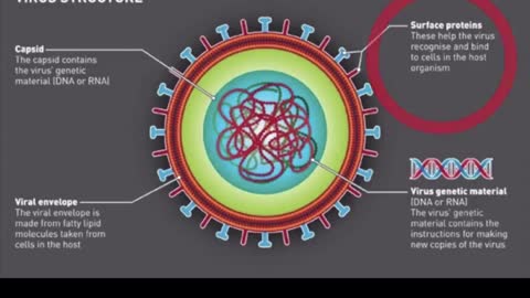 Dr. Thomas Cowan What a Virus Really is