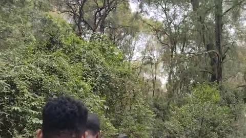 Hiking Ethiopia/ኢትዮኘያ